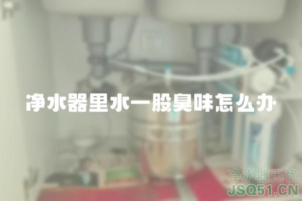 净水器里水一股臭味怎么办