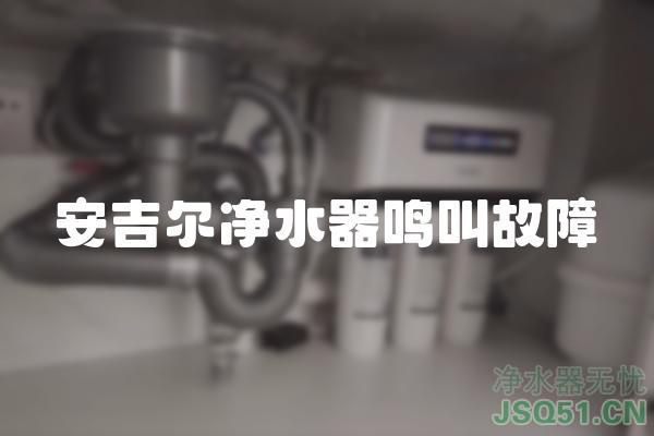 安吉尔净水器鸣叫故障