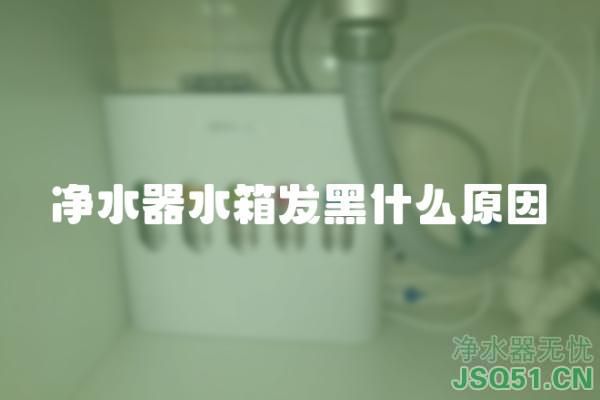 净水器水箱发黑什么原因