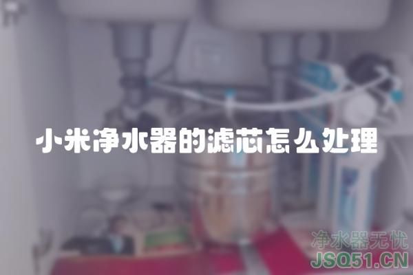 小米净水器的滤芯怎么处理