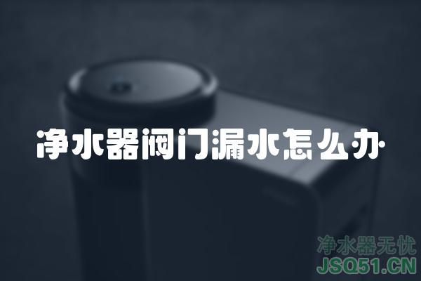 净水器阀门漏水怎么办