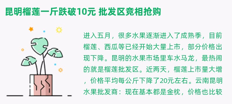 昆明榴莲一斤跌破10元 批发区竞相抢购