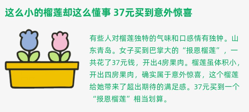 这么小的榴莲却这么懂事 37元买到意外惊喜