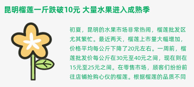 昆明榴莲一斤跌破10元 大量水果进入成熟季