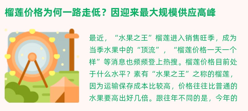 榴莲价格为何一路走低？因迎来最大规模供应高峰