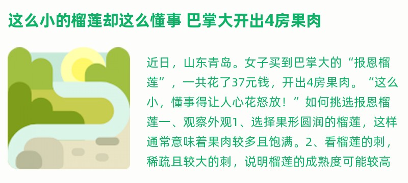 这么小的榴莲却这么懂事 巴掌大开出4房果肉