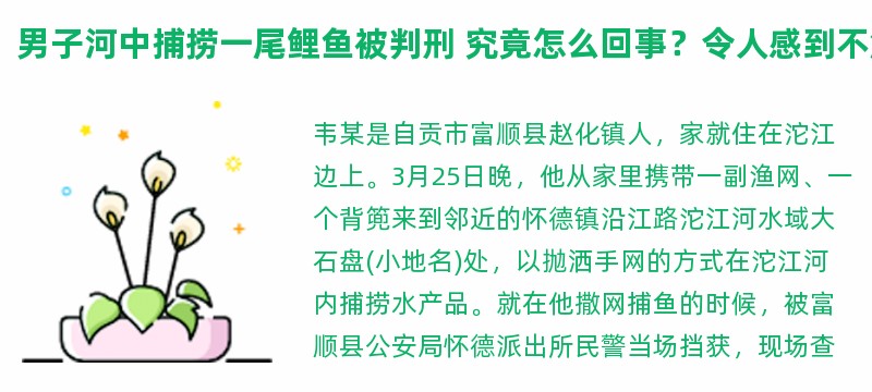 男子河中捕捞一尾鲤鱼被判刑 究竟怎么回事？令人感到不解