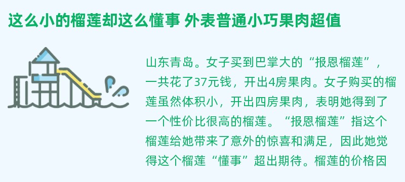 这么小的榴莲却这么懂事 外表普通小巧果肉超值