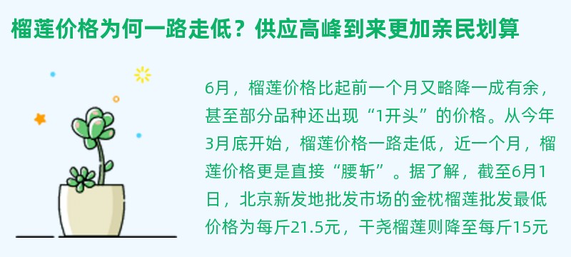 榴莲价格为何一路走低？供应高峰到来更加亲民划算