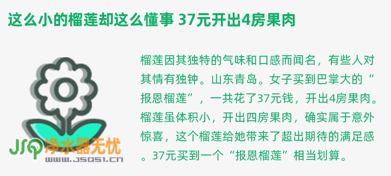 这么小的榴莲却这么懂事 37元开出4房果肉