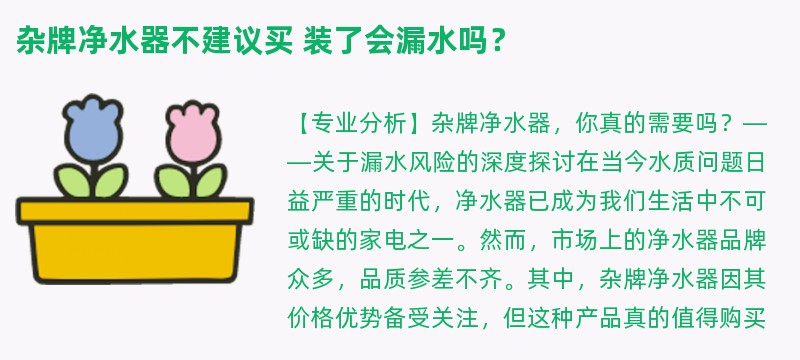 杂牌净水器不建议买 装了会漏水吗？